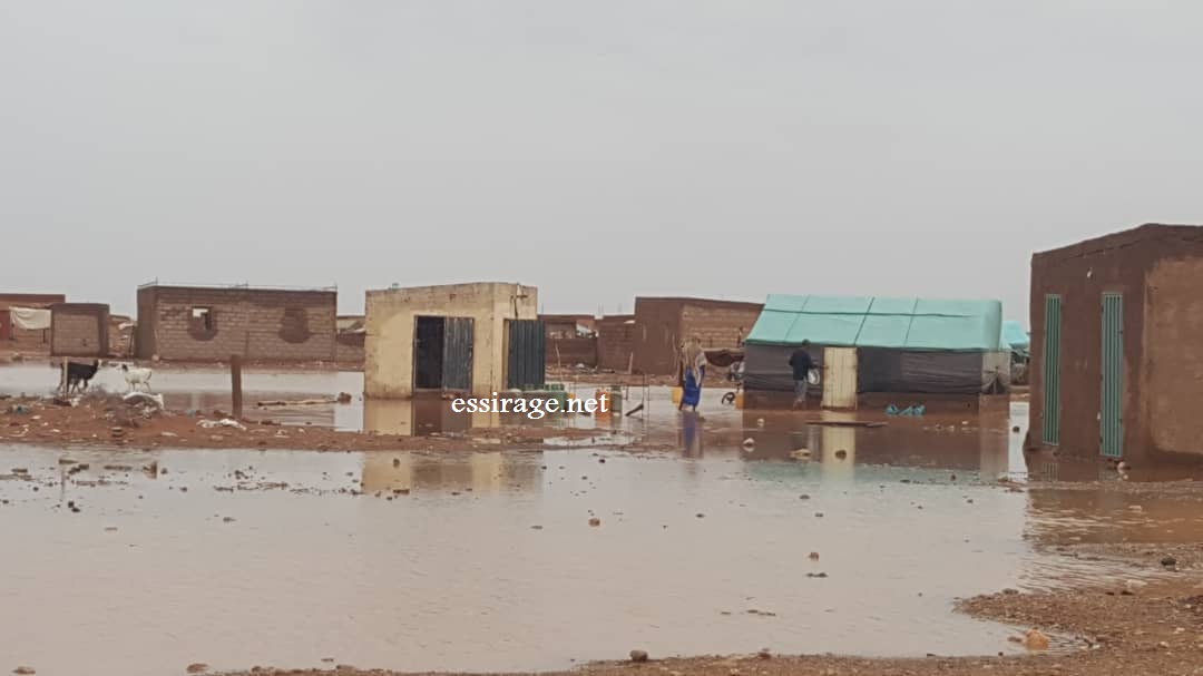 " صورة من الحي "