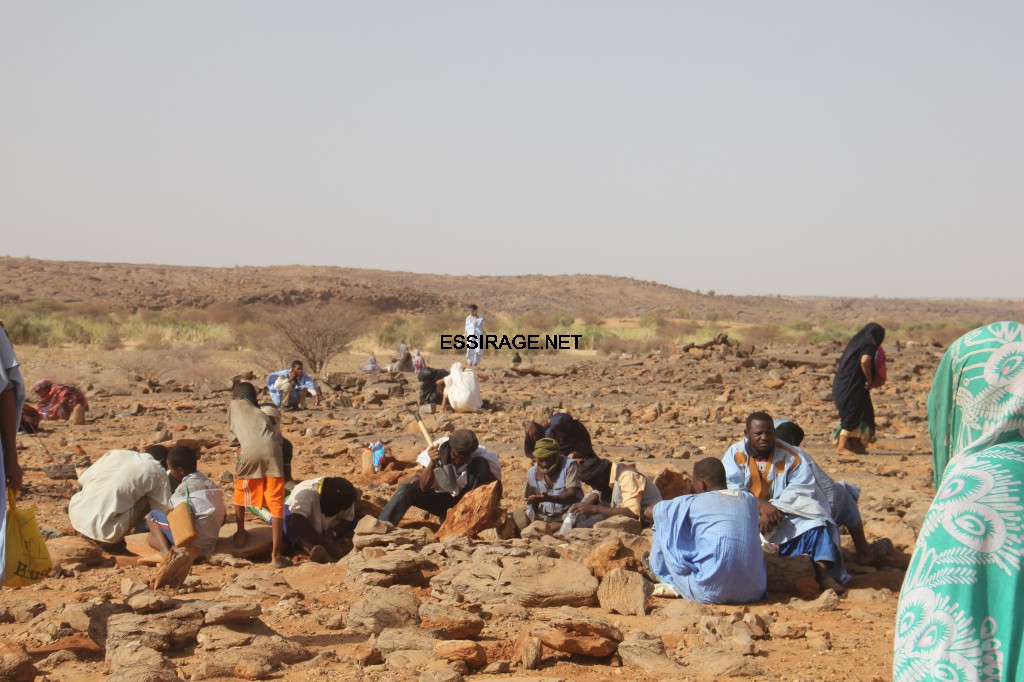 البحث بوسائل متعددة 