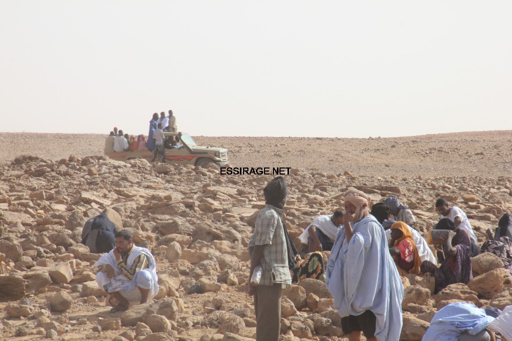 أفواج الباحثين تتواصل