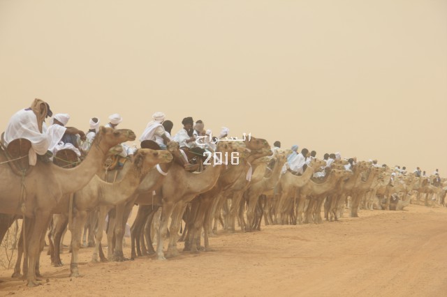 " جانب من الاستقبال "