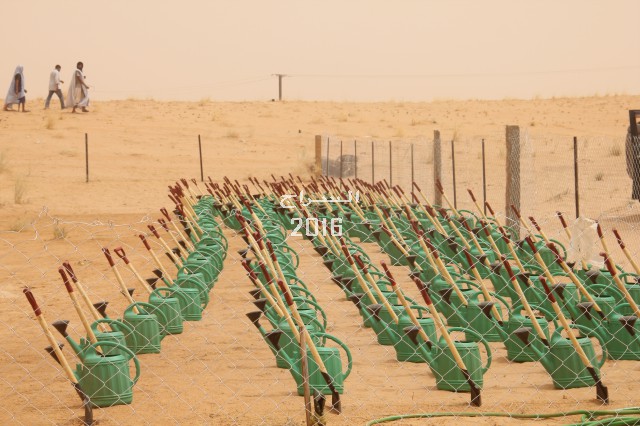 صورة من إحدى المزارع 