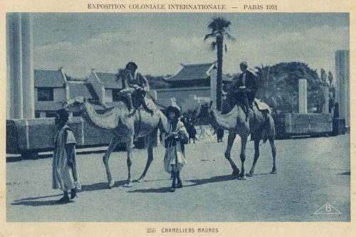صورة 