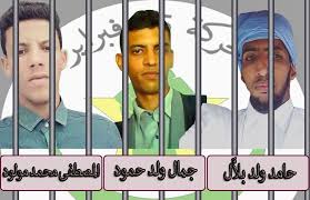 صورة للشباب المعتقلين 
