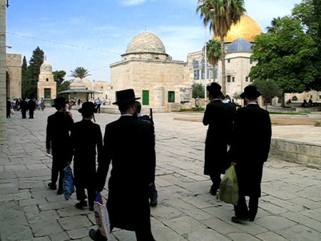 فلسطين المحتلة.. اقتحام الأقصى واعتقالات بالضفة