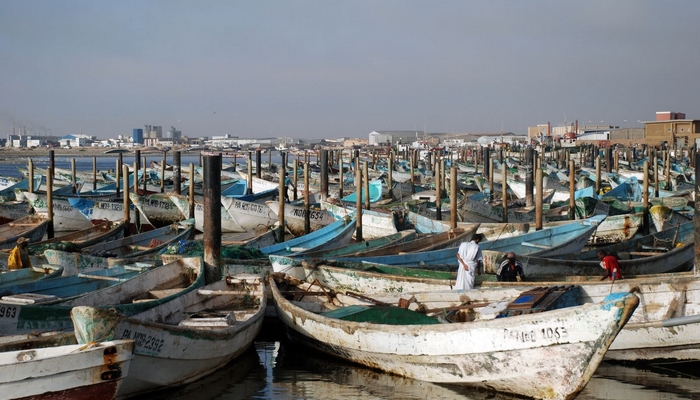 صورة من ميناء الصيد