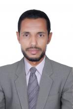 بقلم الدكتور / محمد محمود الصديق