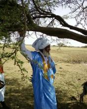 الشيخ إزيد بيه ولد يحفظ شيخ محظرة لكويسي رحمه الله تعالى