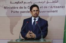 محمد الأمين ولد الشيخ: الناطق الرسمي باسم الحكومة الموريتانية.