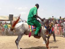 ترقيص الخيول من الموروث التقليدي للولوف