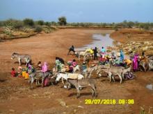 الماء المطروح وحده المتاح في الخريف