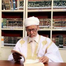 الخليل النحوي: رئيس مجلس اللسان العربي في موريتانيا