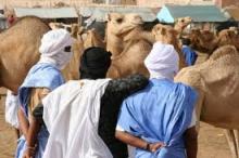 صورة من سوق المواشي