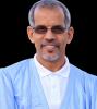محمد الماحي النحوي
