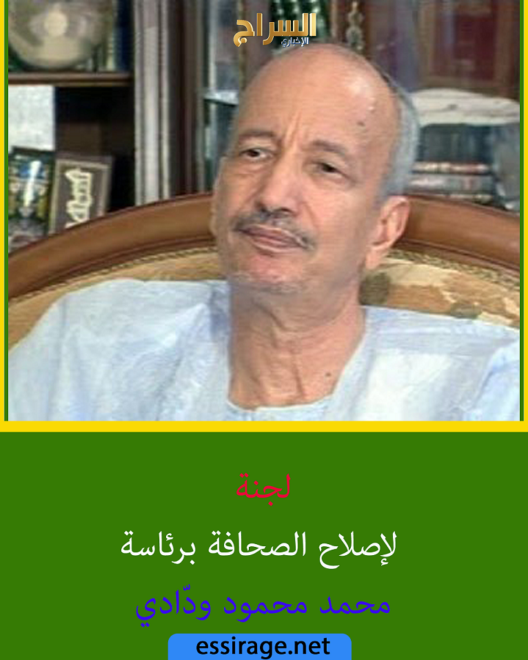 رئيس اللجنة محمد محمود ودادي 